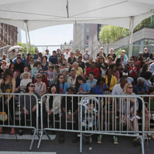 Parade VIP Seating