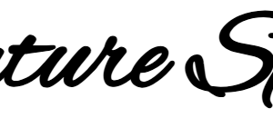 Signature Sponsor